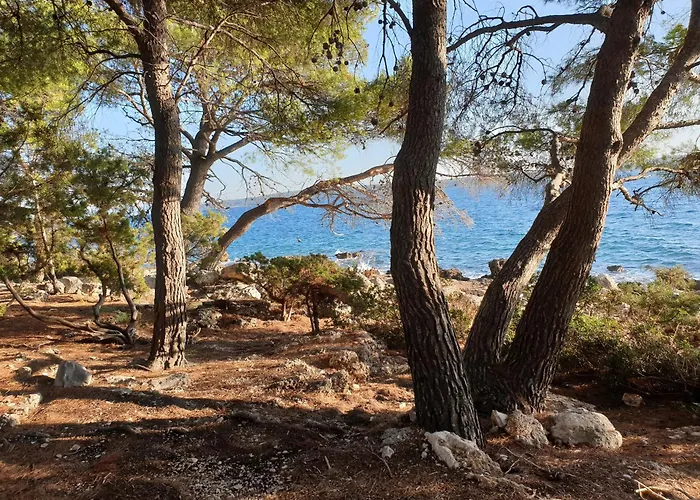209 Διαμέρισμα *